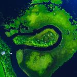 Aerial View Of River Flowing Through Lush Green Field