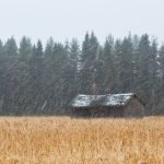 Barn In Field With Trees