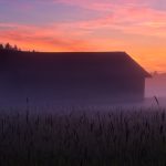 Barn In The Foggy Field