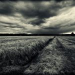 Black And White Photo Of A Field