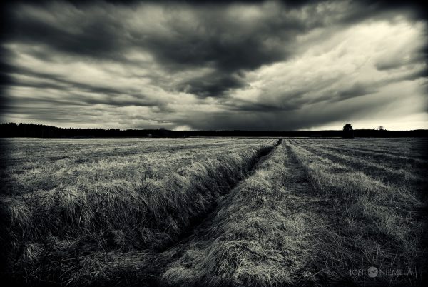 Black And White Photo Of A Field