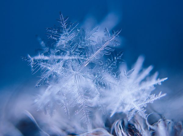 Close Up Of A Snowflake On Blue Background