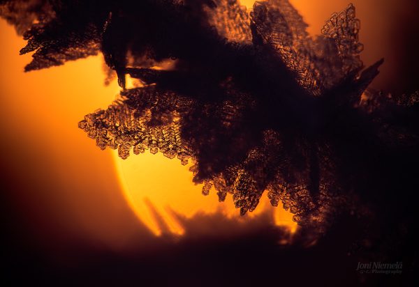 Close Up Of Snow Cyrstals And Sun In The Background