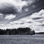 Clouds Drifting Over Field