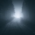 Dark Road Cutting Through Forest