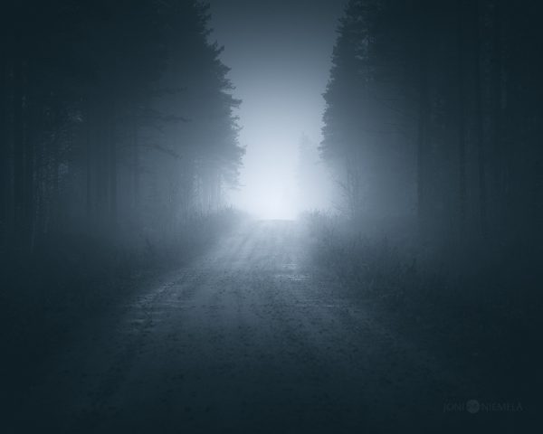 Dark Road Cutting Through Forest