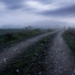 Dirt Road Cutting Through Field