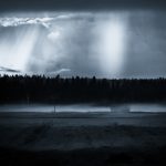 Foggy Field In Monochrome