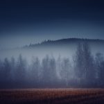 Foggy Field With Trees In The Distance