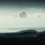 Foggy Landscape In Black And White