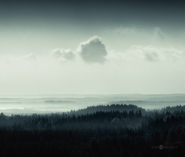 Foggy Landscape In Black And White