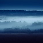 Foggy Landscape With Distant Trees