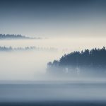 Foggy Landscape With Distant Trees