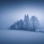 Foggy Landscape With Trees