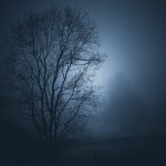 Foggy Night With Tree In Foreground