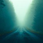 Foggy Road In Forest