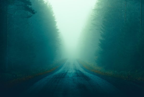 Foggy Road In Forest