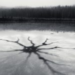 Frozen Lake In Black And White