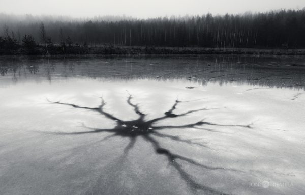Frozen Lake In Black And White