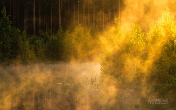 Golden Hour Mist Rising From A Tranquil Forest Pond At Sunset