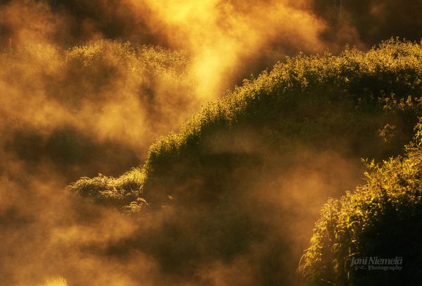 Golden Hour Mist Rising Over A Lush Forested Hillside