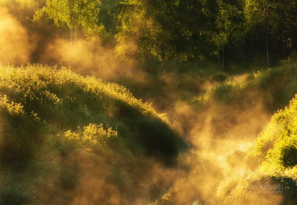 Golden Hour Sunlight Streaming Through Mist Over A Lush Hillside