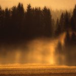 Golden Sunrise Piercing Through Mist Over A Forested Landscape At Dawn