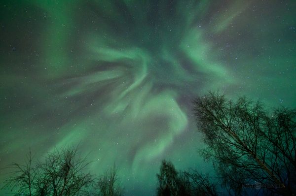 Green And White Aurora Borealis In Night Sky