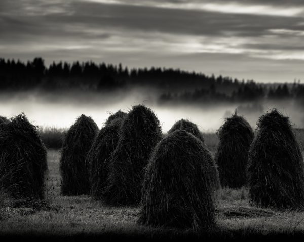 Hay Bales In A Field