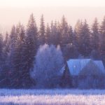 House In A Field With Trees