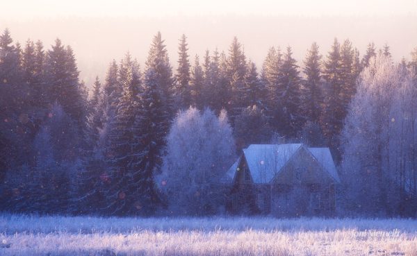 House In A Field With Trees