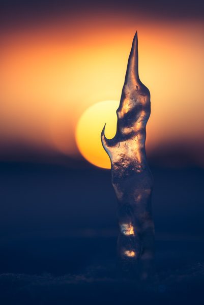 Iceicle Grasping Sunset