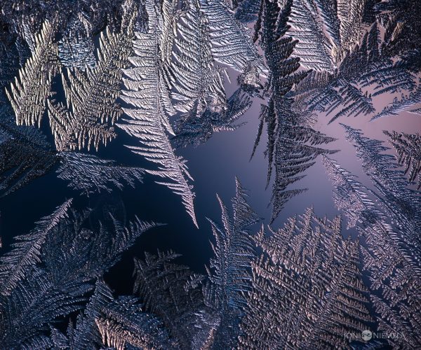 Intricate Frost Patterns On A Window Pane During A Chilly Winter Morning