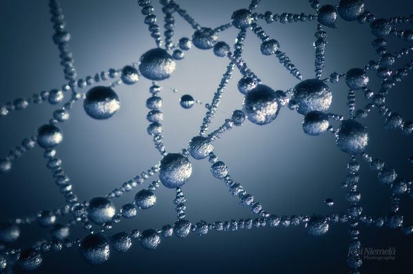 Intricate Frozen Dew Drops Adorning A Spider Web In The Early Morning Light