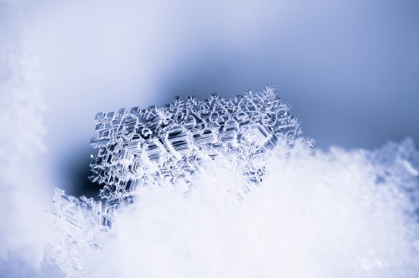 Intricate Snowflake Patterns Captured On A Winter Day