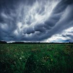 Large Field With Grass And Flowers Under Mammatus Clouds