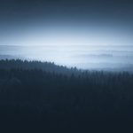 Misty Forest Landscape In Black And White