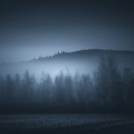 Misty Forest With Distant Hill