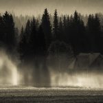 Misty Morning In The Countryside With Sun Rays Piercing Through The Trees