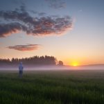 Person Standing In Field At Sunset