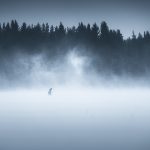 Person Standing In The Middle Of A Wind And Snow