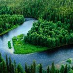 River Flowing Through Lush Green Forest