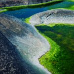 Rocks Covered In Green Algae