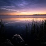 Serene Dawn Over A Misty Lake With Reeds