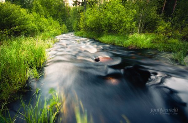 Serene Stream Flowing Through A Dense Green Forest In Soft Evening Light