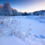 Serene Winter Dawn Over A Snow-Covered Landscape With Frosted Trees