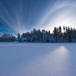 Serene Winter Dawn Over A Snow-Covered Forest And Frozen Lake