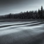 Serene Winter Landscape With Snow-Covered Trees And Shadows At Dawn
