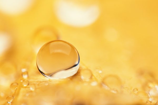 Single Water Drop On Yellow Surface