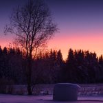 Snow Covered Field With Tree In Background